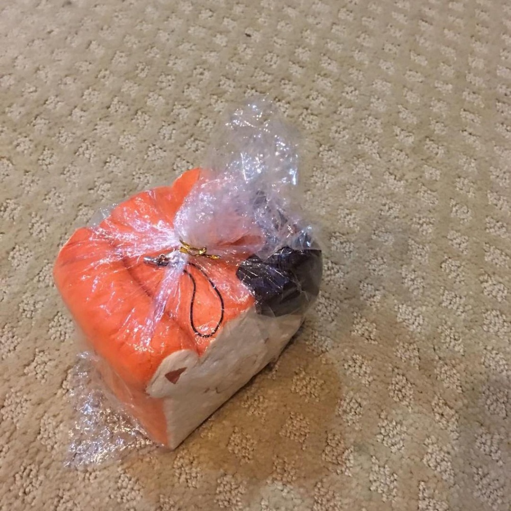 Unopened choco bear squishy - Picture 2 of 2